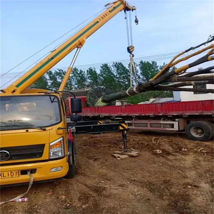 渔薪镇100吨吊车租赁费用怎么算？3大关键因素+省钱技巧全解析